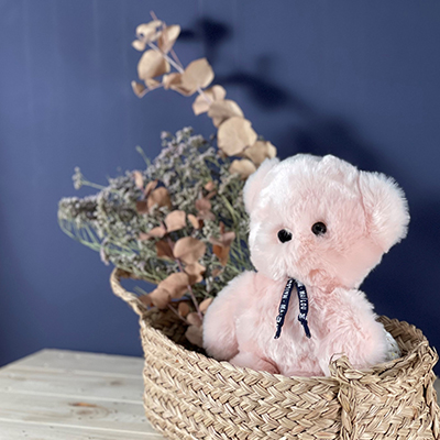 Doudou Ours - Le petit Frenchie - Rose - 20 cm MA0133