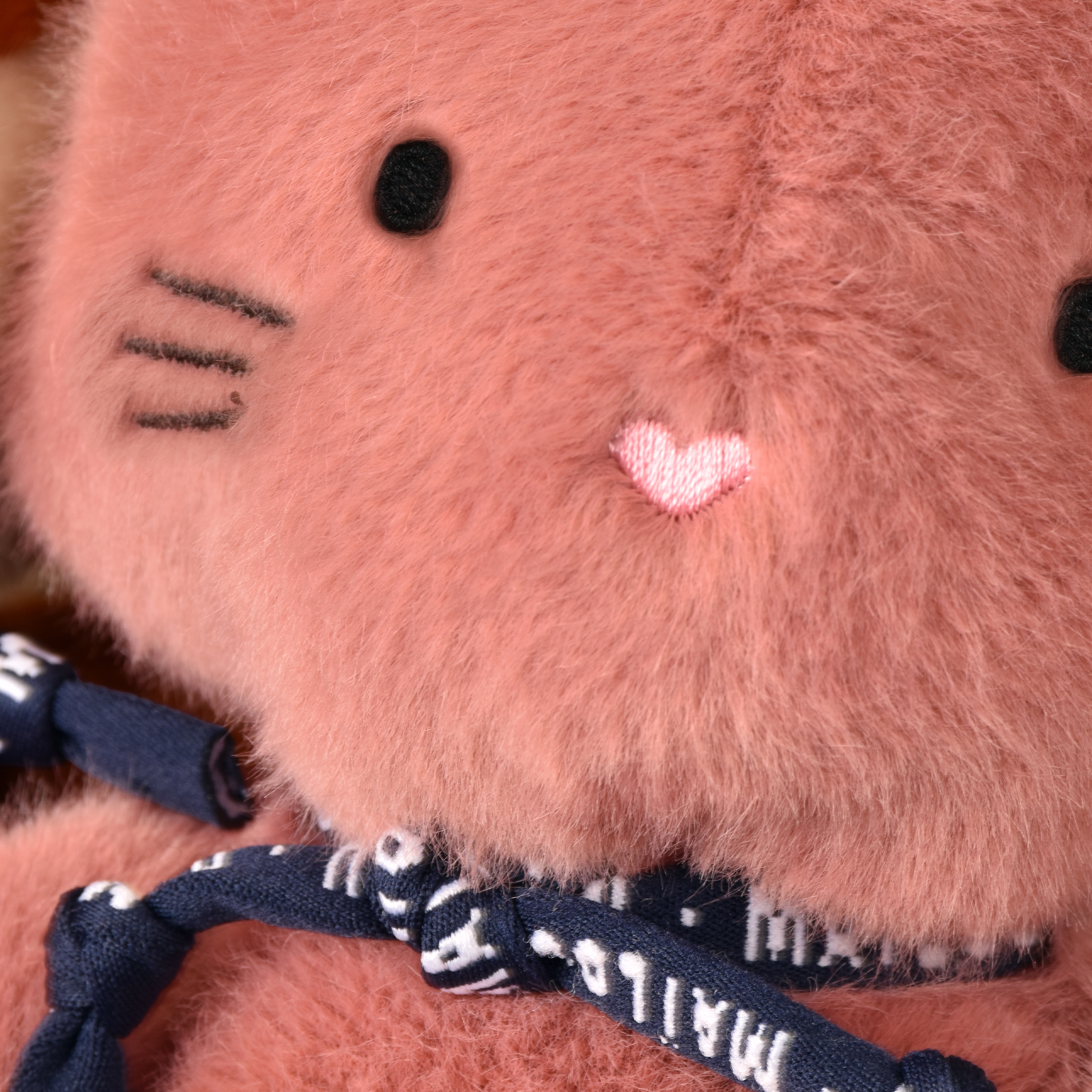 Chat méloé cœur rose