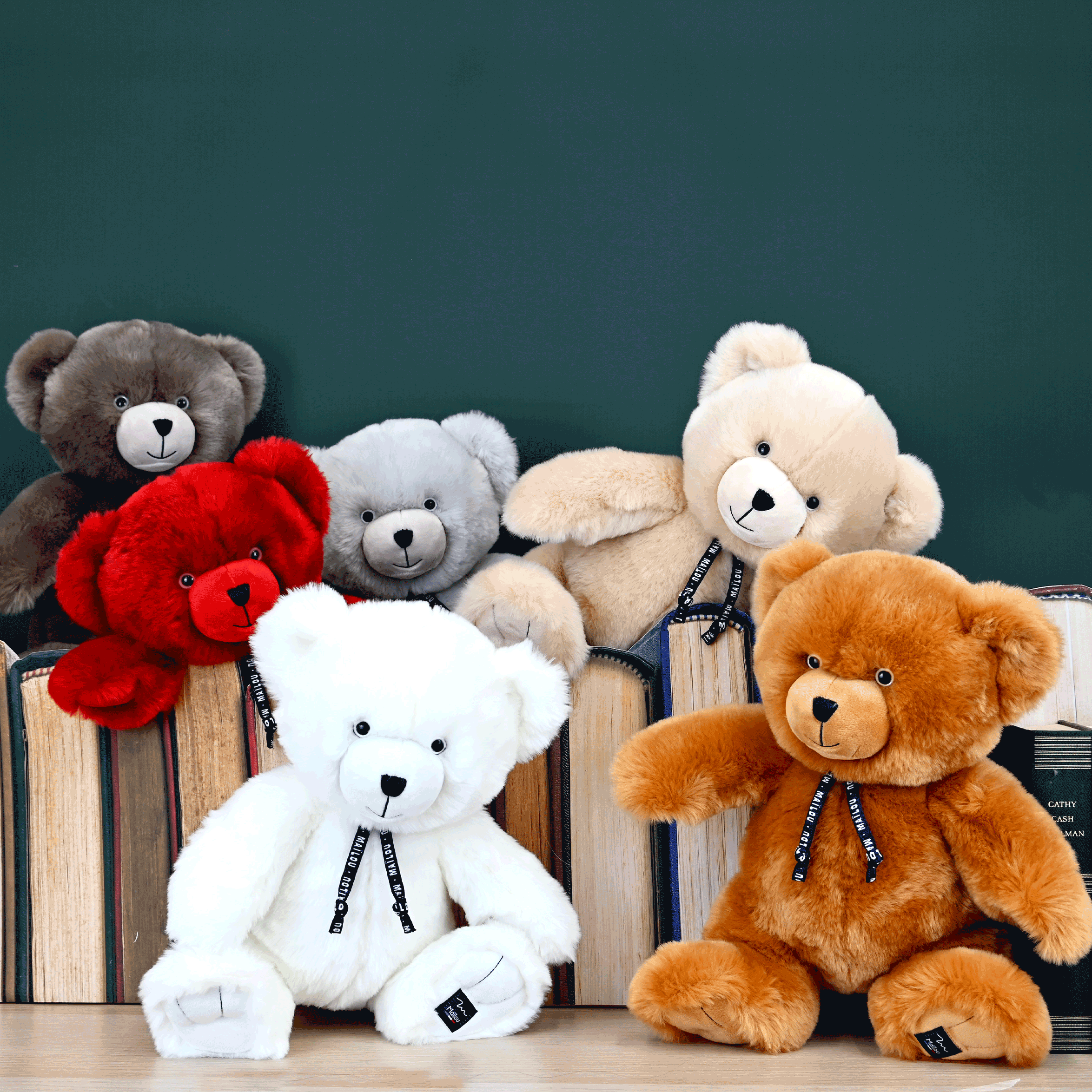 L'Ours Maïlou - MA0257-MA0250-MA0254-MA0194-MA0253-MA0255-4