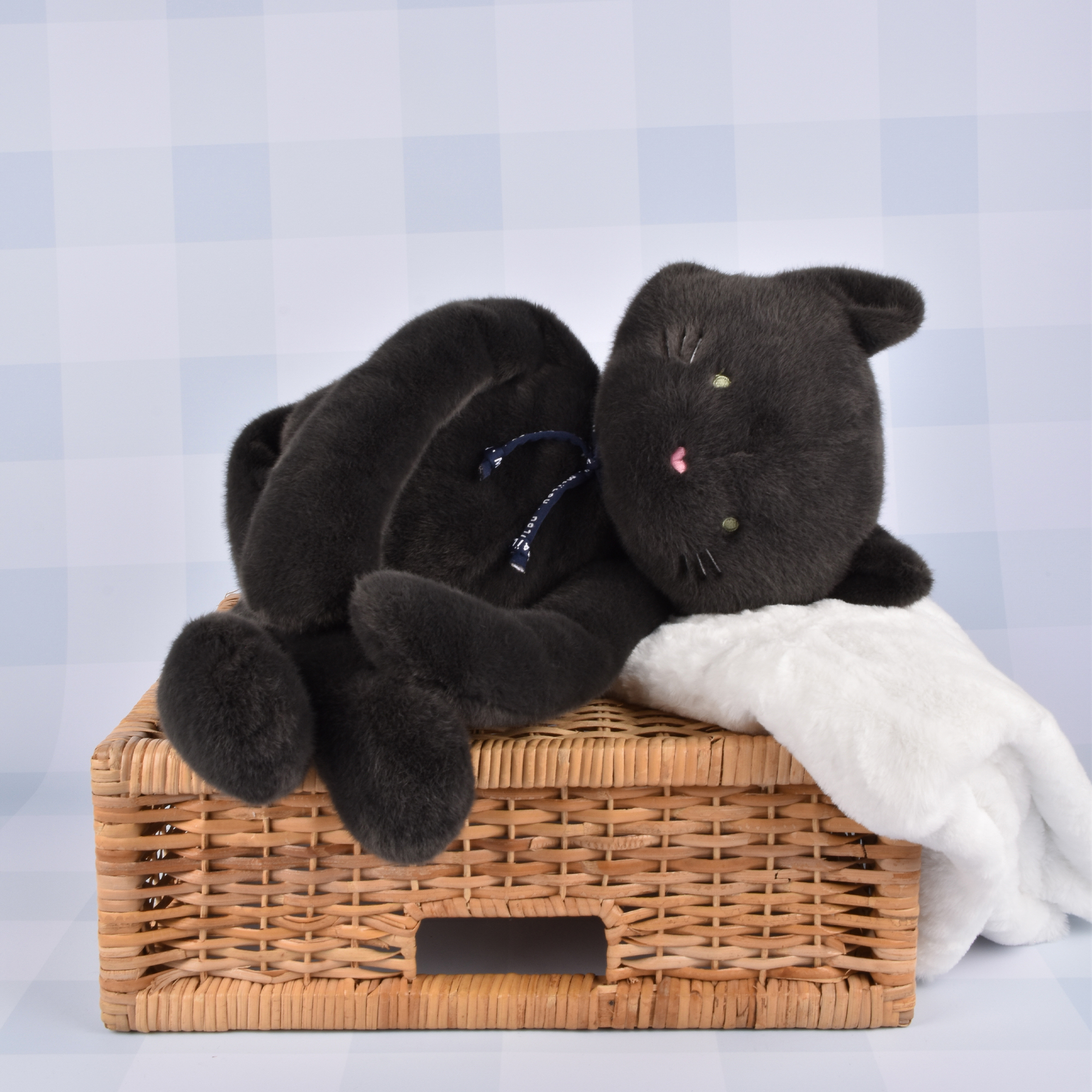 Chat Noir Allongé Méloé Maïlou