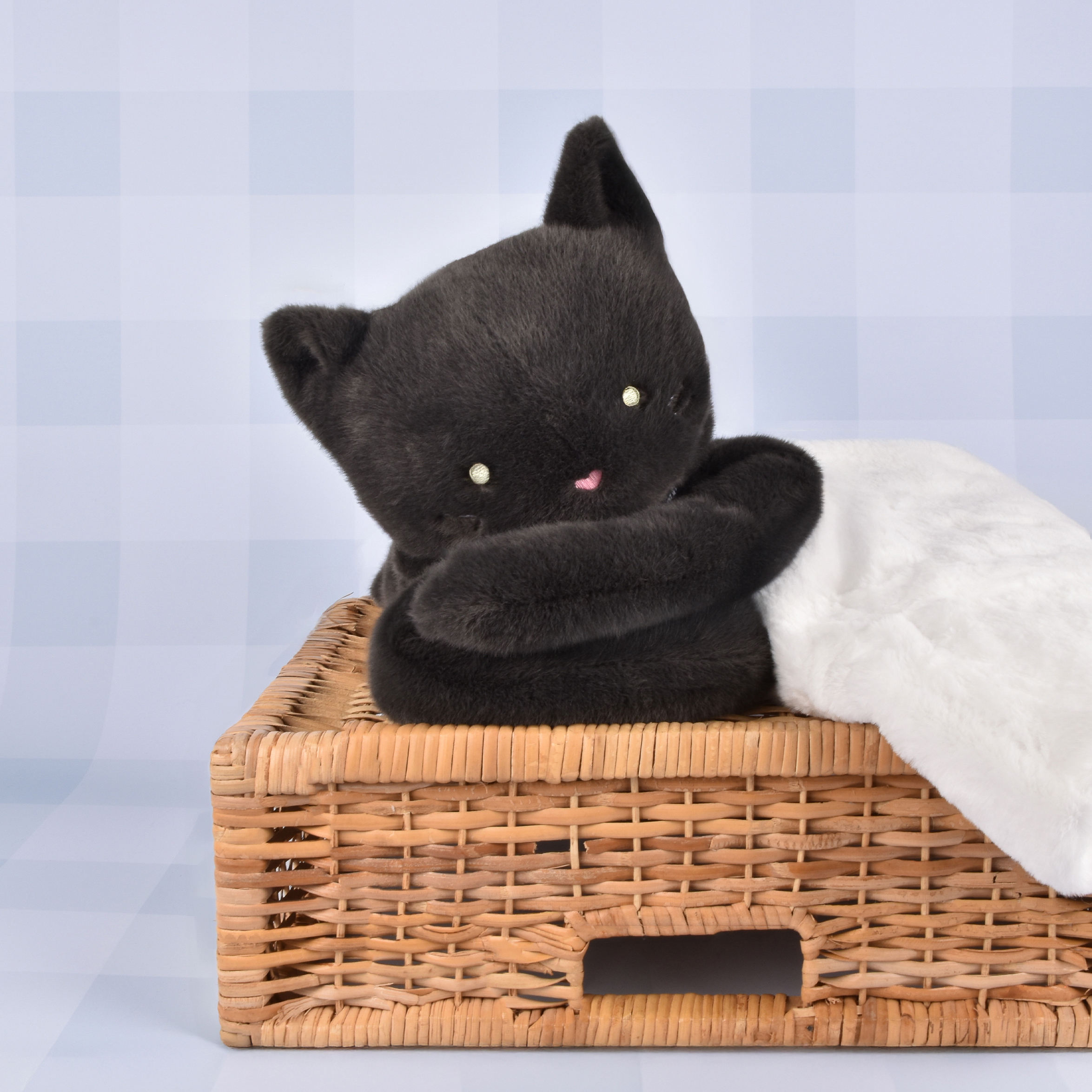 Chat Noir Couché Méloé Maïlou