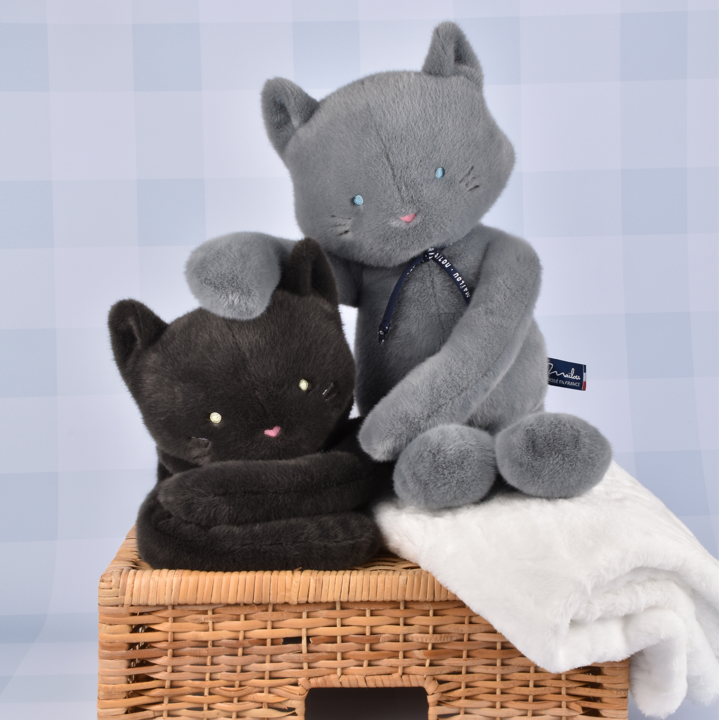 Chats Noir et Gris Méloé Maïlou