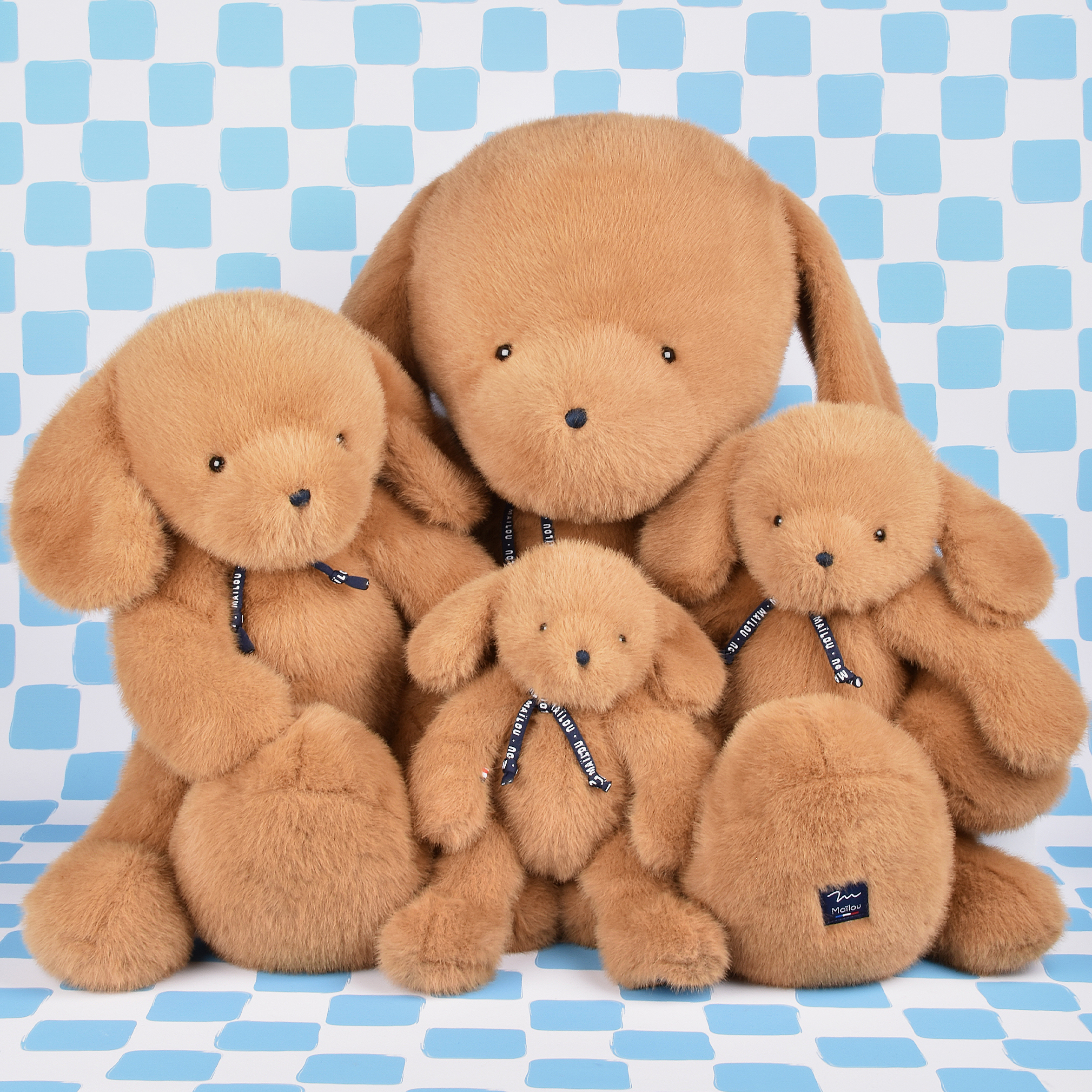 Famille Chien clémentin