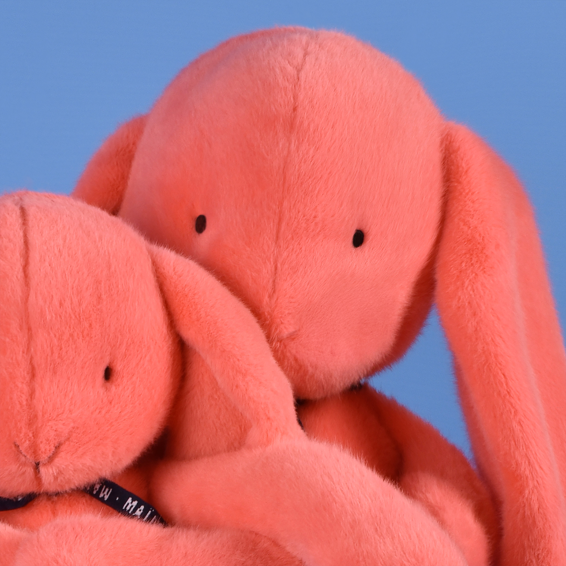 Zoom couleur corail acidulé Lapins Méloé