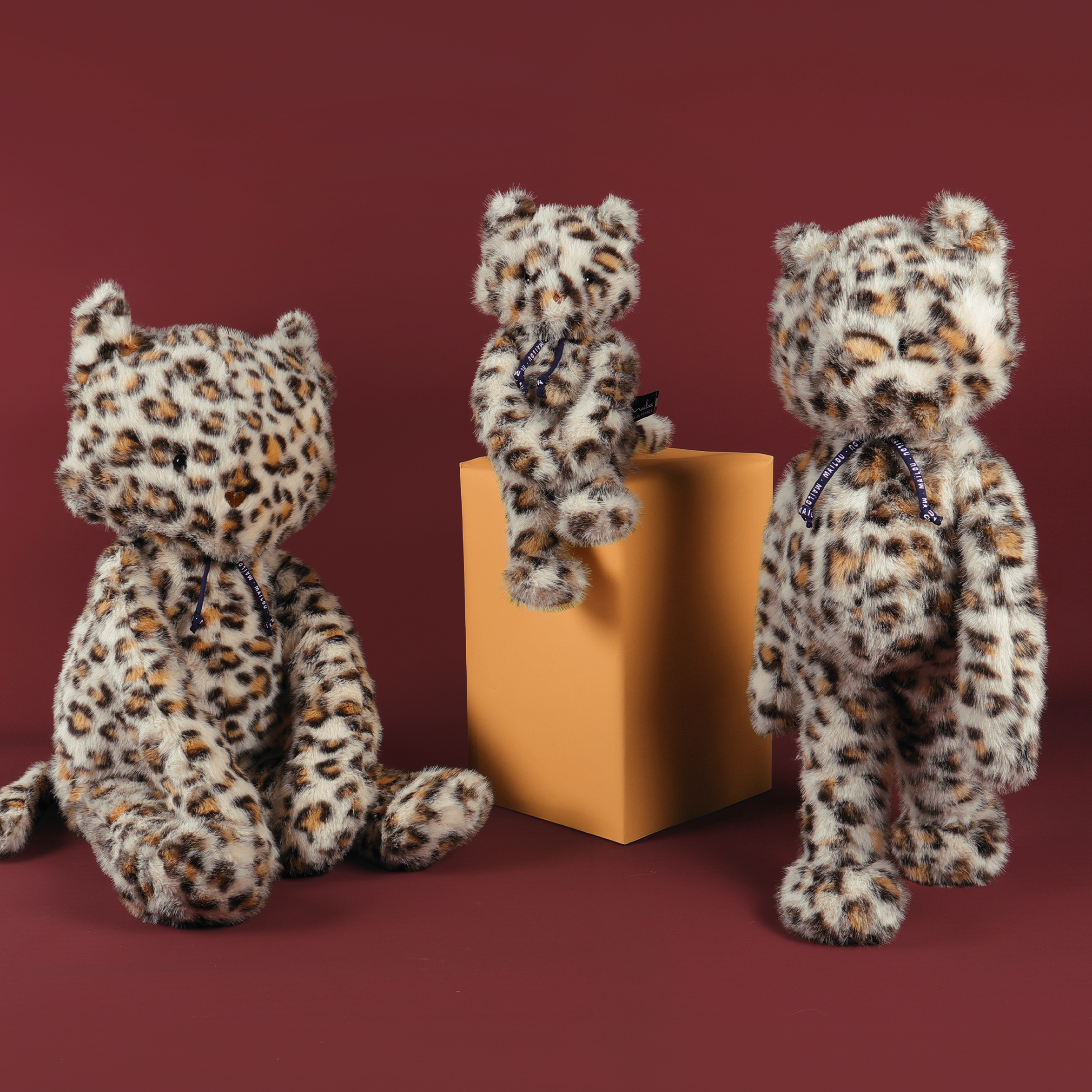 Chats Léopard